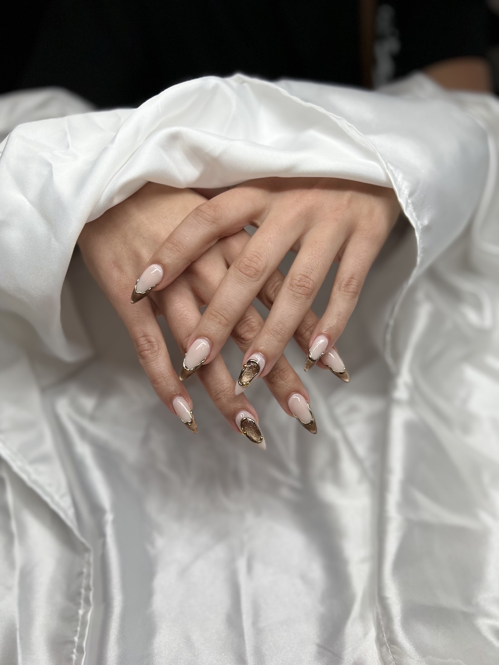 Deliciae Nail Spa logo
